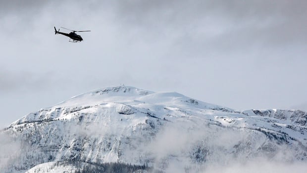 tsb-says-weather,-drug-in-pilot’s-system-may-have-contributed-to-fatal-chopper-crash-in-bc.