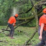 thunderstorms-take-out-trees,-power-in-outaouais,-eastern-ontario