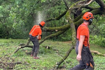thunderstorms-take-out-trees,-power-in-outaouais,-eastern-ontario