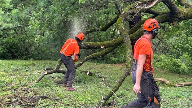 thunderstorms-take-out-trees,-power-in-outaouais,-eastern-ontario