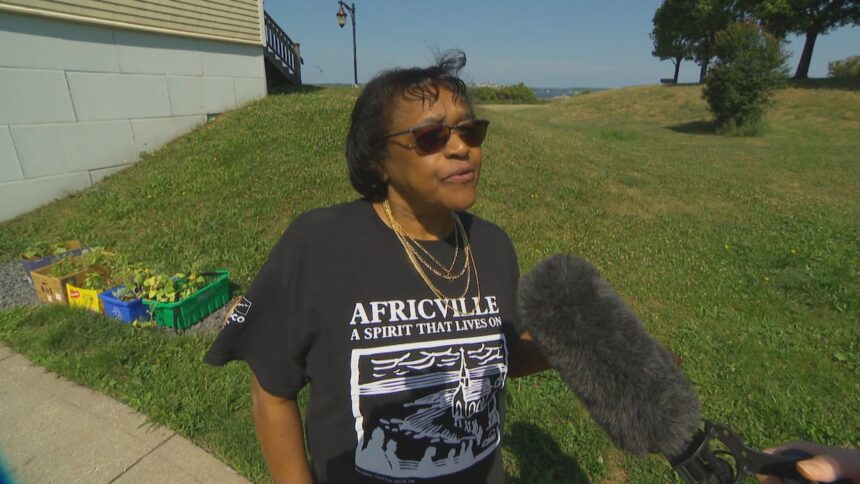 42nd-africville-reunion-happening-this-weekend