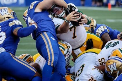 edmonton-elks’-qb-cody-fajardo-to-make-1st-start-of-the-season-against-riders
