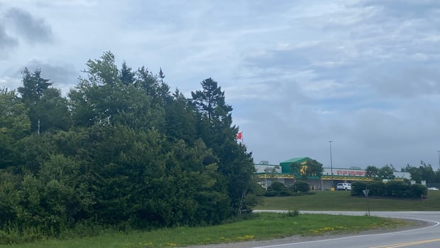 whole-new-neighbourhood-proposed-for-rothesay,-with-1,277-housing-units