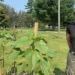 pilot-project-introduces-fresh-fruit-to-fredericton-park