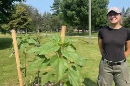 pilot-project-introduces-fresh-fruit-to-fredericton-park