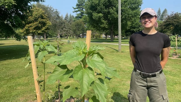 pilot-project-introduces-fresh-fruit-to-fredericton-park