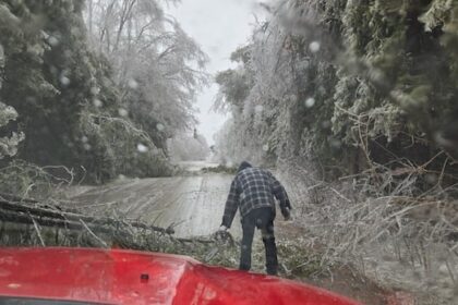 municipalities-hit-by-ontario-ice-storm-turn-to-province-for-recovery-money