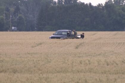 small-privately-registered-plane-crashes-in-southern-manitoba:-tsb