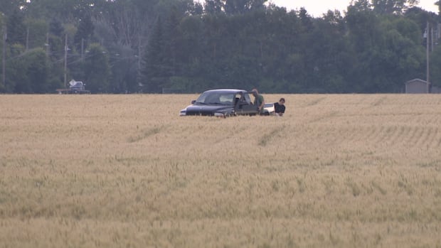 small-privately-registered-plane-crashes-in-southern-manitoba:-tsb