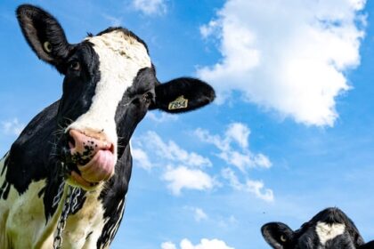what-the-us.-dairy-industry-really-wants-from-canada