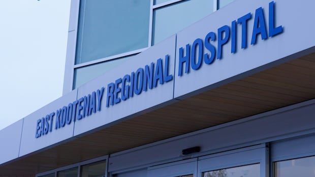 man-hospitalized-with-life-threatening-injuries-after-grizzly-bear-attack-in-bc.