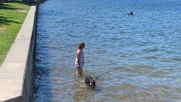 heat-warnings-in-place-as-sweltering-week-predicted-for-much-of-bc.