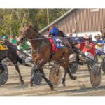 harness-racing:-red-rum-she-wrote-claims-feature-race-at-cape-bretons-northside-downs