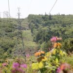 coxheath-hills-residents-worried-about-silence-surrounding-proposed-cbrm-copper-mine
