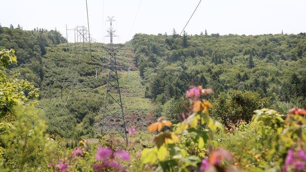 coxheath-hills-residents-worried-about-silence-surrounding-proposed-cbrm-copper-mine