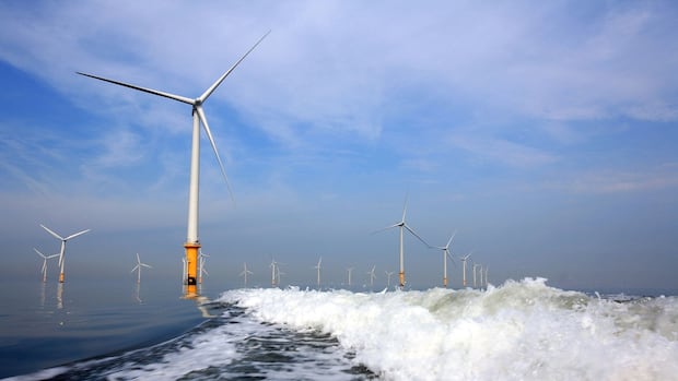 proposed-offshore-wind-development-areas-finalized-as-call-for-bids-looms
