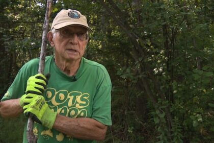 invasive-plants-are-growing-in-a-wolfville-park.-this-group-is-cutting-the-problem-at-its-root