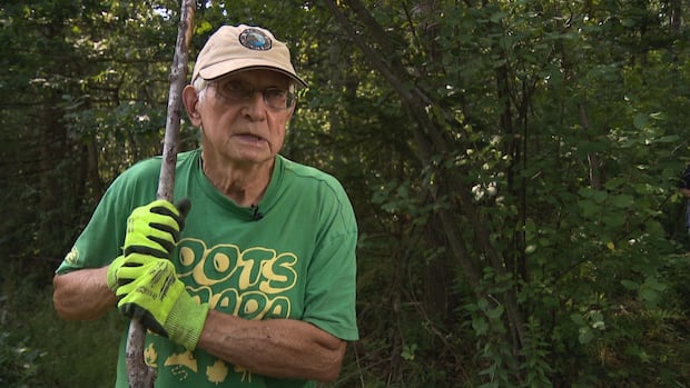 invasive-plants-are-growing-in-a-wolfville-park.-this-group-is-cutting-the-problem-at-its-root