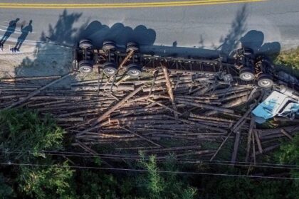 truck-crashes,-launching-logs-into-power-lines-in-halifax-county