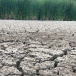 ‘an-incredibly-sobering-sight’:-man-snaps-photos-of-bone-dry-marsh-in-parched-ns.
