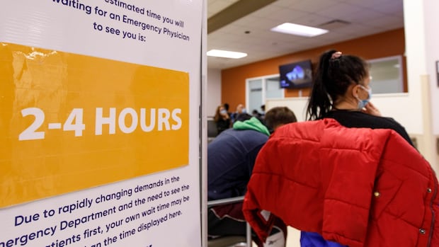 manitobans-concerned-over-health-care,-crime-and-immigration:-poll
