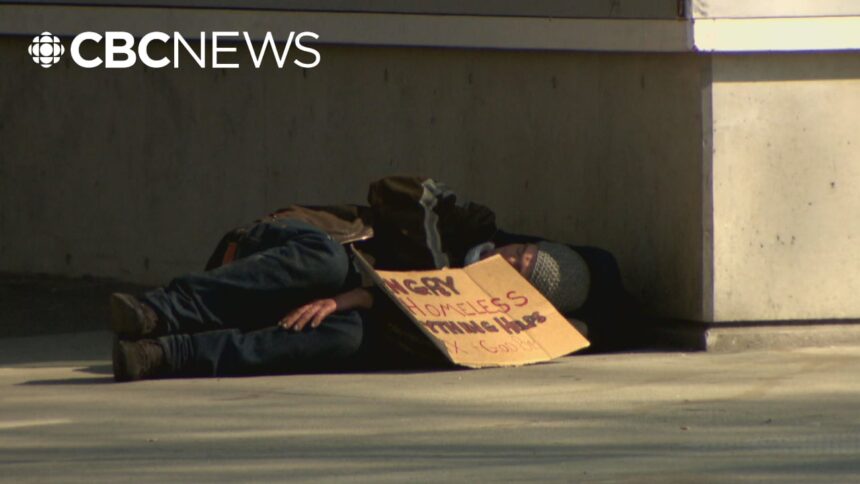homelessness-across-metro-vancouver-hits-all-time-high,-count-reveals