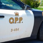 two-drivers-killed-in-head-on-crash-in-denbigh,-ont.