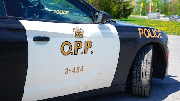 two-drivers-killed-in-head-on-crash-in-denbigh,-ont.