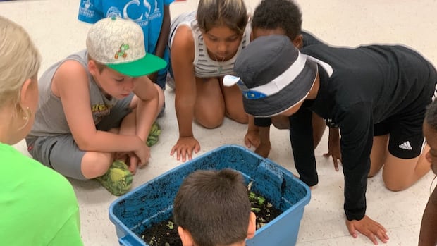 wildfire-smoke-forces-hundreds-of-children-inside-after-winnipeg-outdoor-event-cancelled