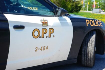 two-drivers-killed-in-head-on-crash-near-denbigh,-ont.