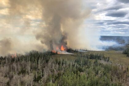 no-what-ifs:-nova-scotia-imposes-total-ban-on-fires