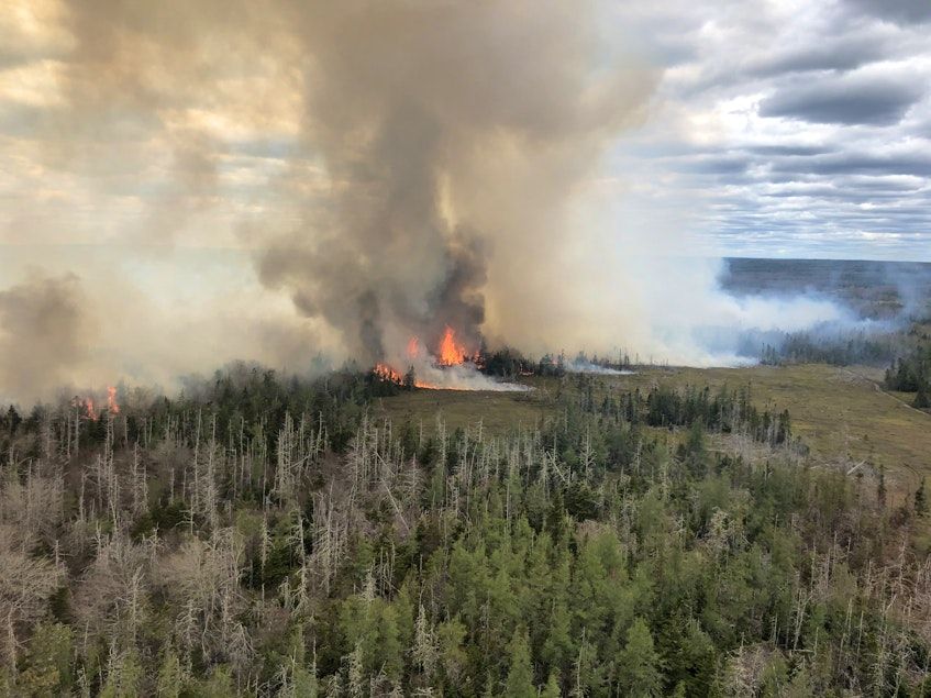 no-what-ifs:-nova-scotia-imposes-total-ban-on-fires