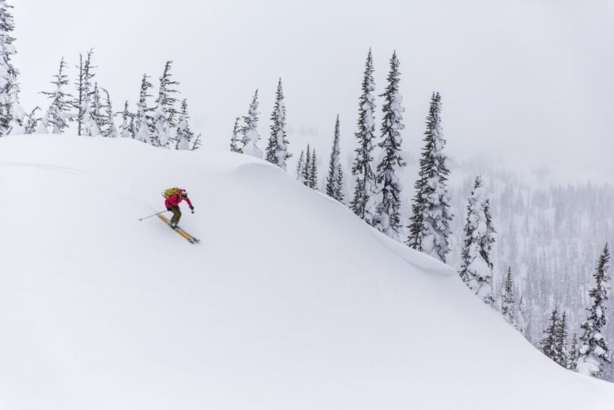 bc.’s-environmental-assessment-office-won’t-review-a-proposed-ski-resort-in-the-kootenays
