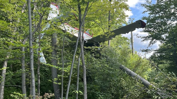 small-plane-crashes-west-of-ottawa-airport