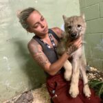 cape-breton-wildlife-park-welcomes-four-new-cubs-to-its-wolf-pack