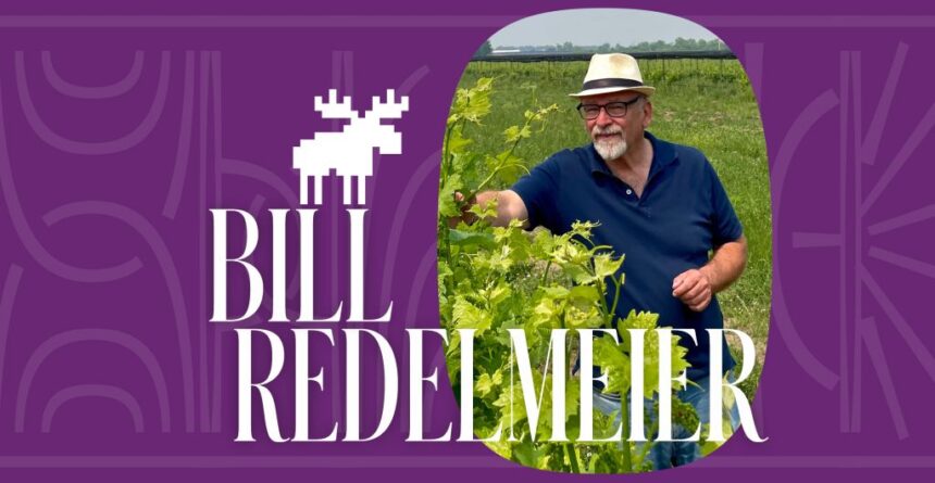 niagara-falls-is-still-awesome,-southbrook-winerys-founder-says