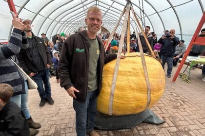 hot,-dry-summer-may-be-good-news-for-pei.’s-giant-pumpkin-growers-prepping-for-weigh-off