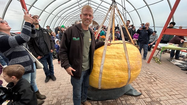 hot,-dry-summer-may-be-good-news-for-pei.’s-giant-pumpkin-growers-prepping-for-weigh-off