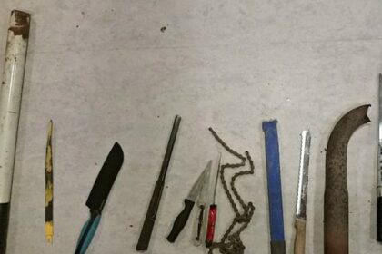 sask.-government-going-after-street-weapons-in-public-settings