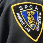 ns.-spca-cancels-some-municipal-bylaw-contracts-amid-staff-burnout,-rising-costs