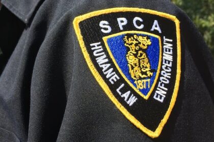 ns.-spca-cancels-some-municipal-bylaw-contracts-amid-staff-burnout,-rising-costs
