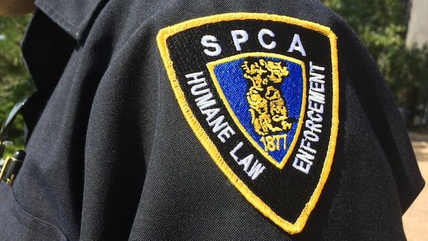 ns.-spca-cancels-some-municipal-bylaw-contracts-amid-staff-burnout,-rising-costs