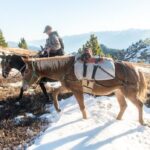 i-learned-to-confront-difficult-truths-about-life-by-photographing-dad’s-last-days-and-hunting
