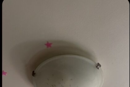 landlord-says-everything-done-properly-in-building-where-maggots-fell-from-ceiling-after-man’s-death