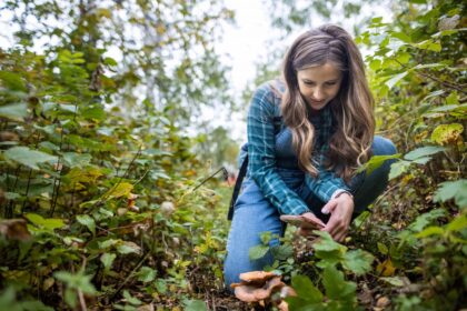 public-asked-to-help-nature-study-with-photos-through-annual-bioblitz