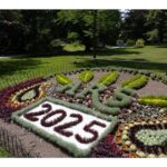 john-demont:-checking-in-on-the-vandalized-trees,-and-other-secrets-of-halifax’s-public-gardens
