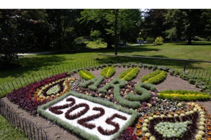 john-demont:-checking-in-on-the-vandalized-trees,-and-other-secrets-of-halifax’s-public-gardens