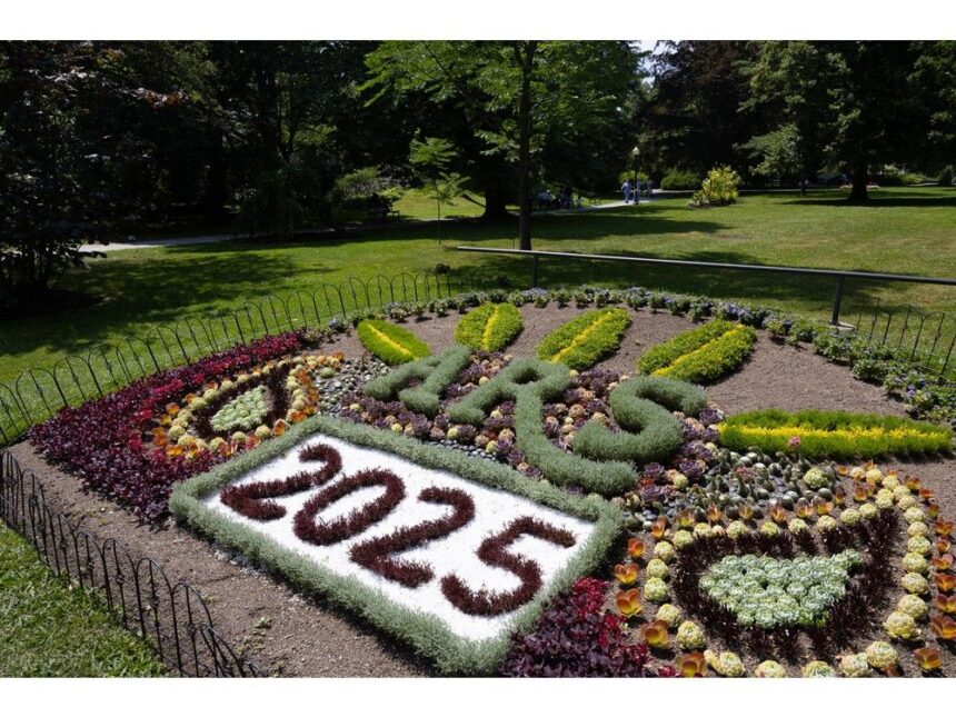 john-demont:-checking-in-on-the-vandalized-trees,-and-other-secrets-of-halifax’s-public-gardens