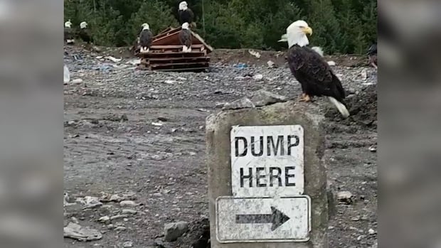 ‘extremely-serious’-landfill-fire-closes-dump-in-prince-rupert-through-long-weekend