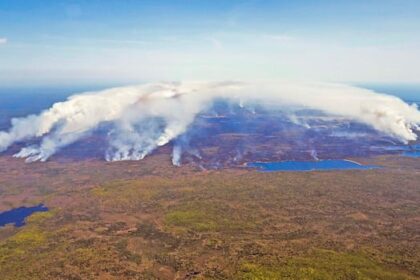 some-ns.-wildfire-evacuees-eligible-for-up-to-$3k-to-support-fire-mitigation-projects